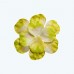  Rose Petal Apple Green-Pack of 400