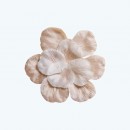  Rose Petal Ivory-Pack of 400