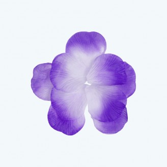 Rose Petal Lavender-Pack of 400