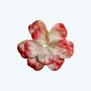  Rose Petal Mauve-Pack of 400