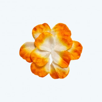  Rose Petal Orange-Pack of 400