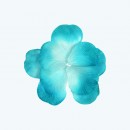 Rose Petal Turquoise-Pack of 400