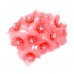  
Color: CORAL