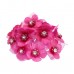  
Color: FUCHSIA