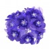  
Color: Purple