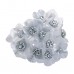  
Color: SILVER