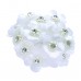  
Color: White