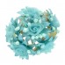  
Color: AQUA
