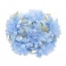  
Color: Blue