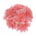 
Color: CORAL
