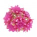  
Color: FUCHSIA