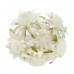  
Color: IVORY
