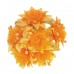  
Color: ORANGE