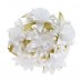  
Color: White